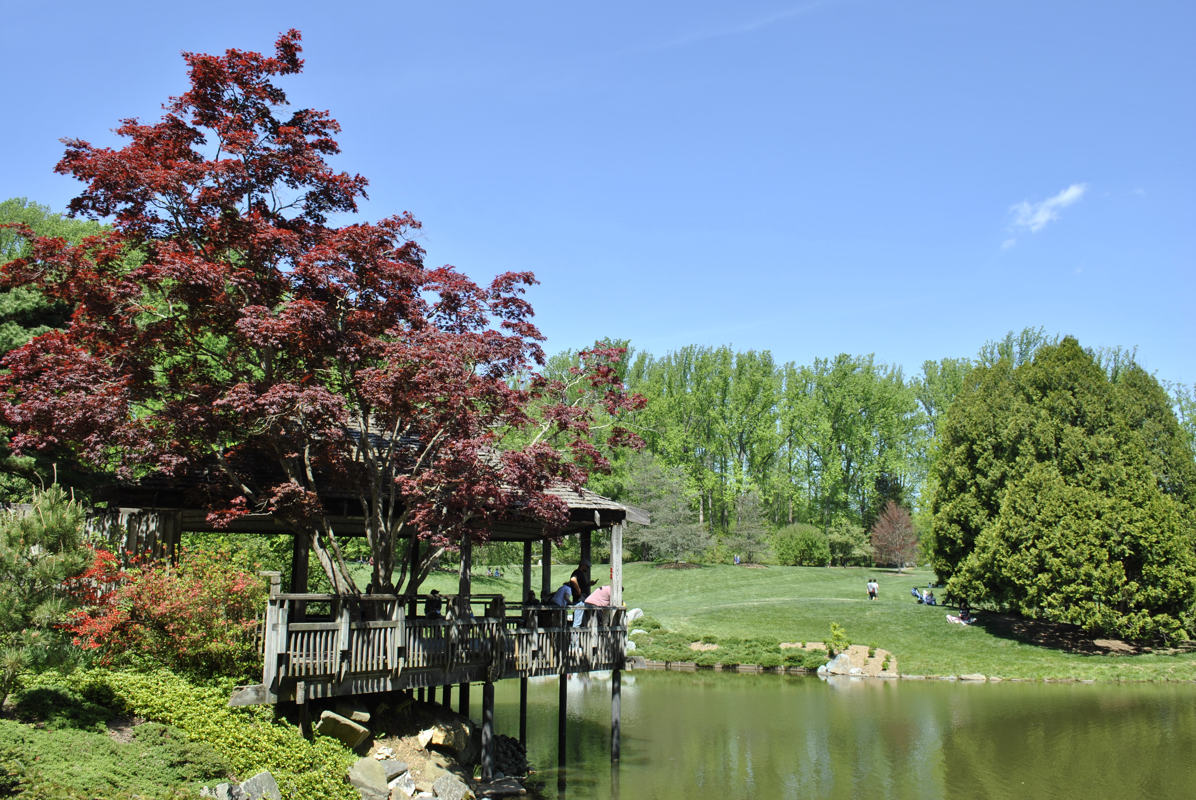 Brookside Gardens